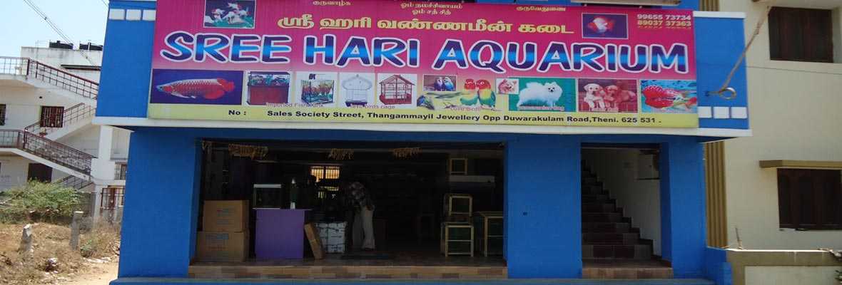 Aquarium-SREE-HARI-AQUARIUM-Theni Aquarium Maker in theni,cumbum