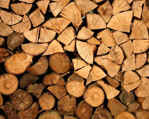 Firewood Suppliers Usilampatti