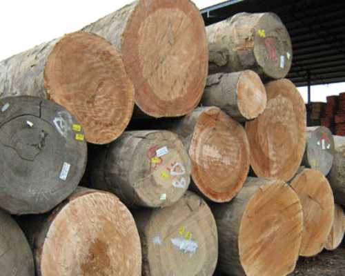 African Teak Wood Sales Batlagundu