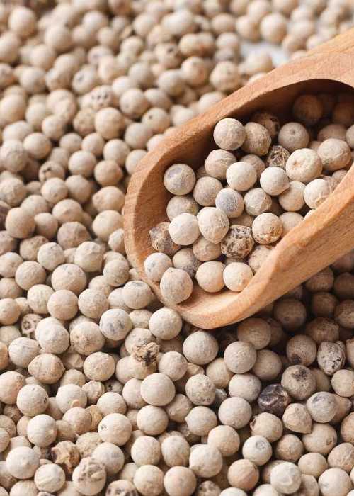 Buy Kerala White Pepper Online Cumbum Bodinayakanur